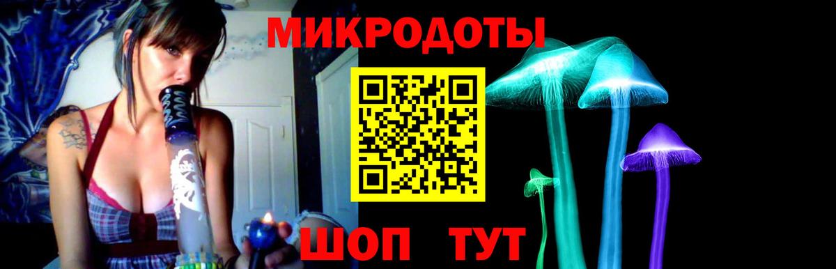 Псилоцибиновые грибы Cubensis Углич